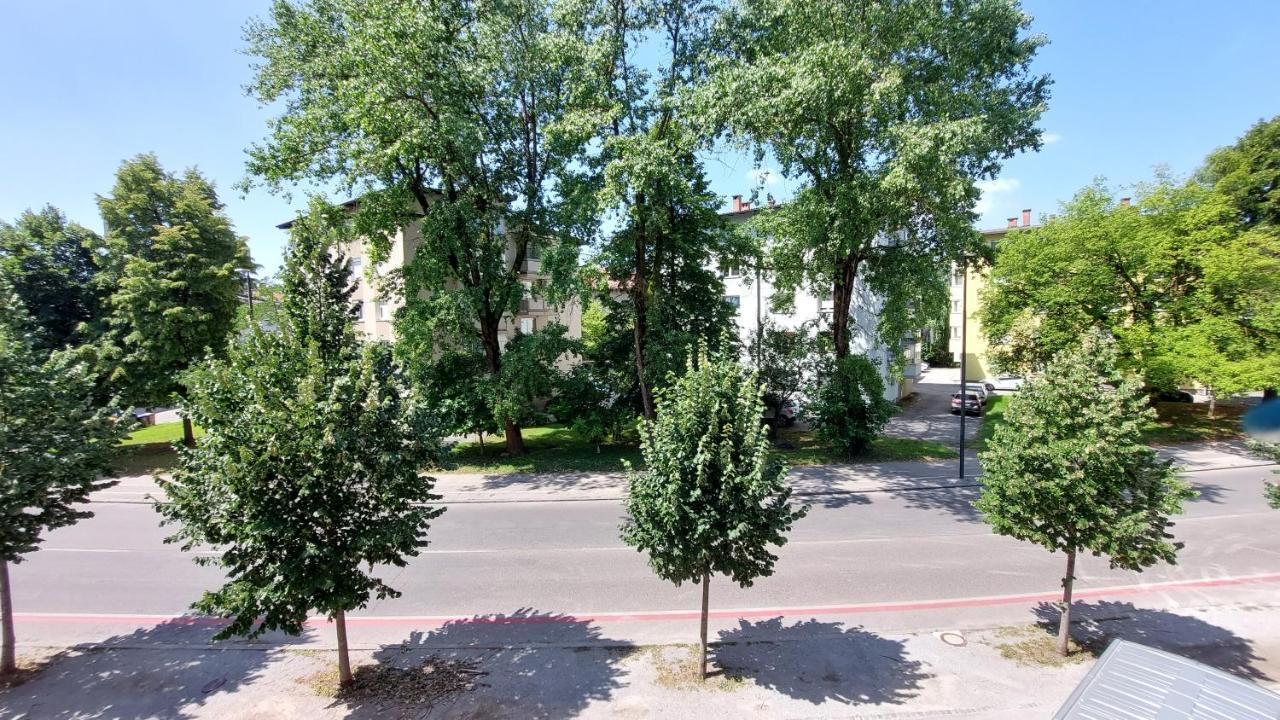 Cozy, Bright And Affordable Studio W/ Free Parking Liubliana Exterior foto